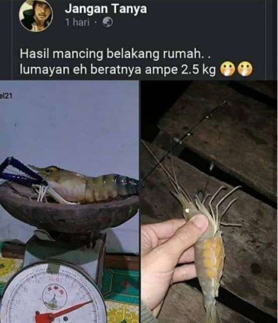 Duh Cara Pake Timbangan Ini Kok Salah Kaprah Banget Ya